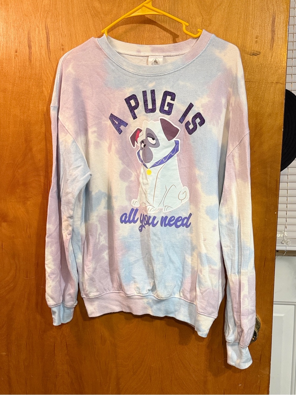 Disneyland Sweatshirt sz M